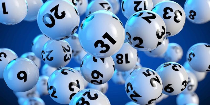 Đề 4 Càng Hôm Nay Về Con Gì? Tìm Ngay Đáp Án Chính Xác